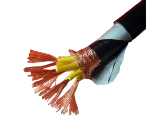 16576793557703.png 15714762068698.png